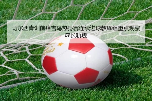 img_1785416137136_534_1_700.jpg